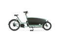 Cargo